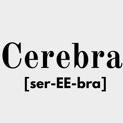 Cerebra Sports Nutrition